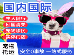 洛阳北郊空运地址国际宠物托运 【国